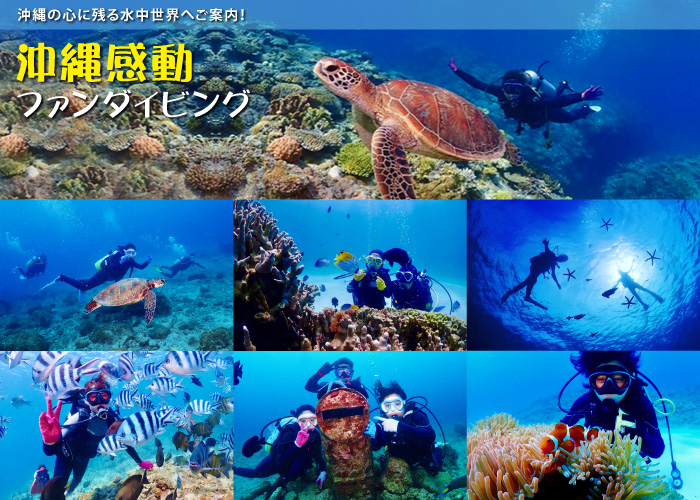 沖縄ファンダイビング 沖縄の心に残る水中世界へご案内！